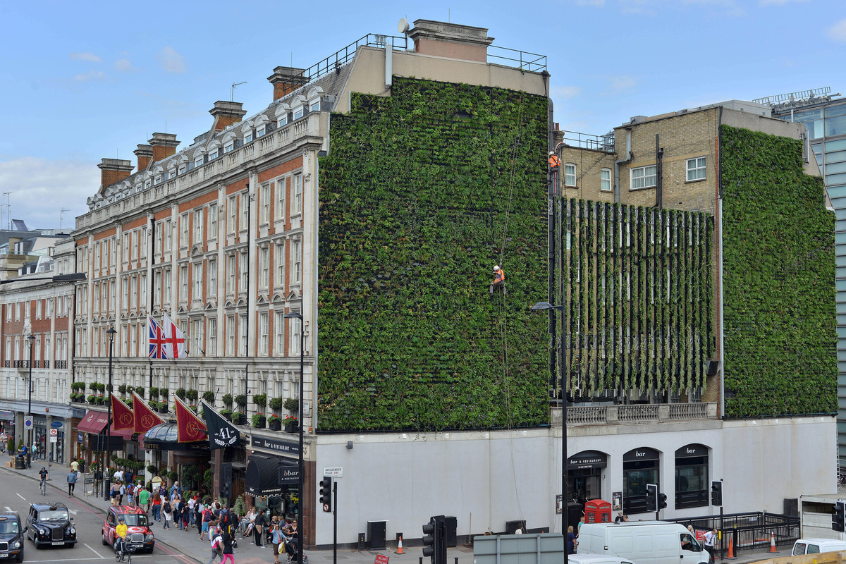 Can Exterior Green Walls Contribute to a Carbon Neutral Architecture